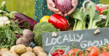 farmers market the shoppes at the farm readington nj