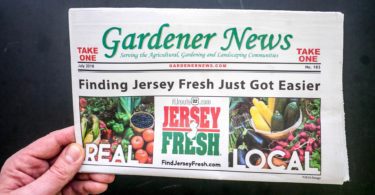 Jersey Fresh {or how to Find Jersey Fresh}