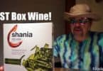 Cheap Wine Review Episode 3: Shania Monastrell {The only box wine review you will need!}