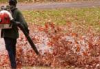 Leaf Blower Bans - The world gone crazy?