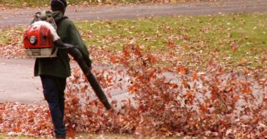 Leaf Blower Bans - The world gone crazy?