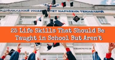 25 Life Skills That Should Be Taught In School (But Aren’t)