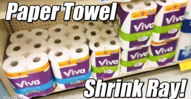 Paper Towel Shrink Ray {Shame on you, Viva!}