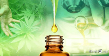 CBD Oil - Hype or Help?