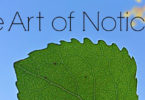 The Art of Noticing {Podcast}