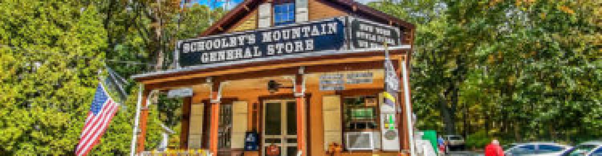 Schooley's Mountain General Store (for sale)