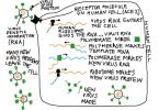 5 ways "Coronavirus" made us even more practical!