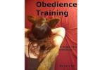 Human Obedience Training in NJ