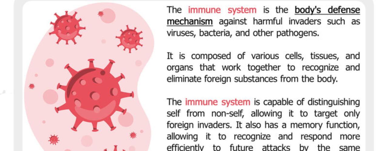 Super Simple Strategies That Will Improve Your Immunity