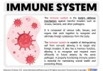 Super Simple Strategies That Will Improve Your Immunity